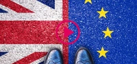 Webinar brexit