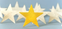 Dyoung news gold4
